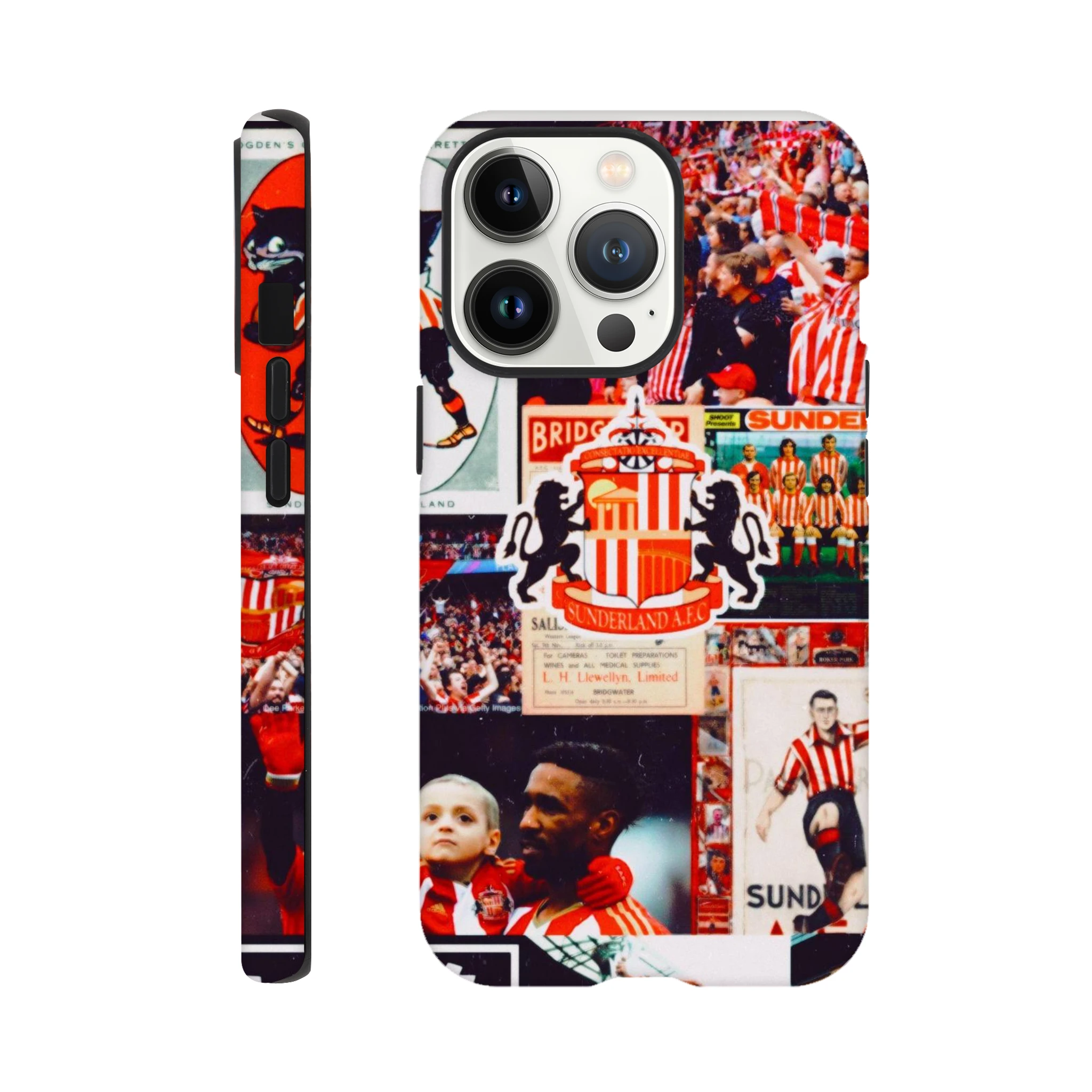 15f1f09c-cf7e-46c6-aa0e-b3d0a125e38a