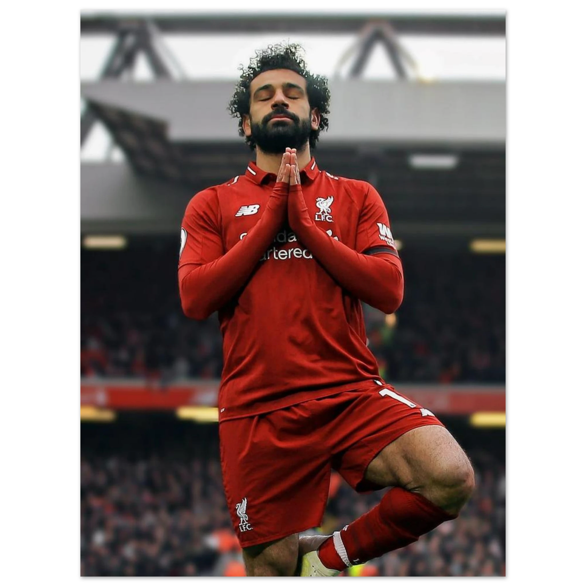 65edeebb-56f8-4097-81a3-f22bf011569a