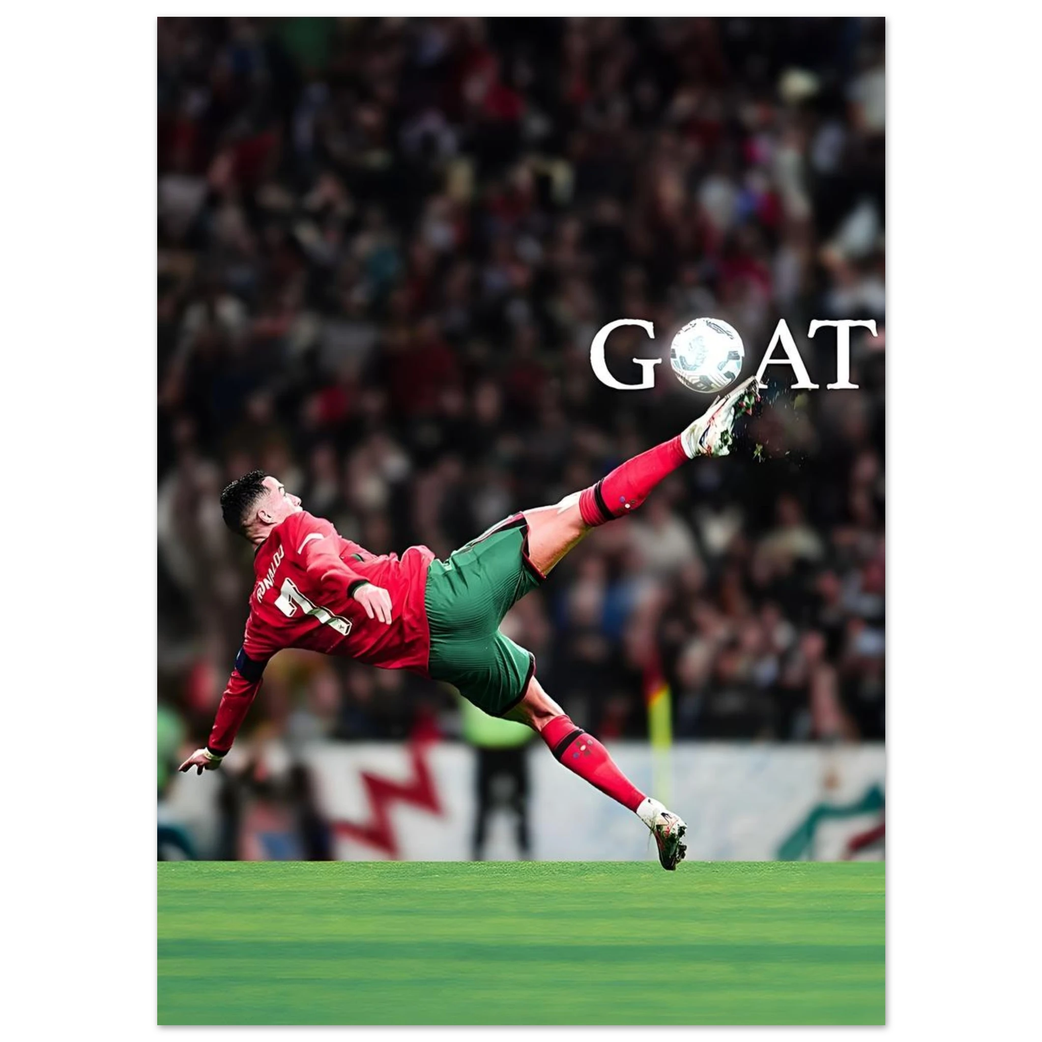 732ed650-8fd1-42e4-858f-9a30fa117c03