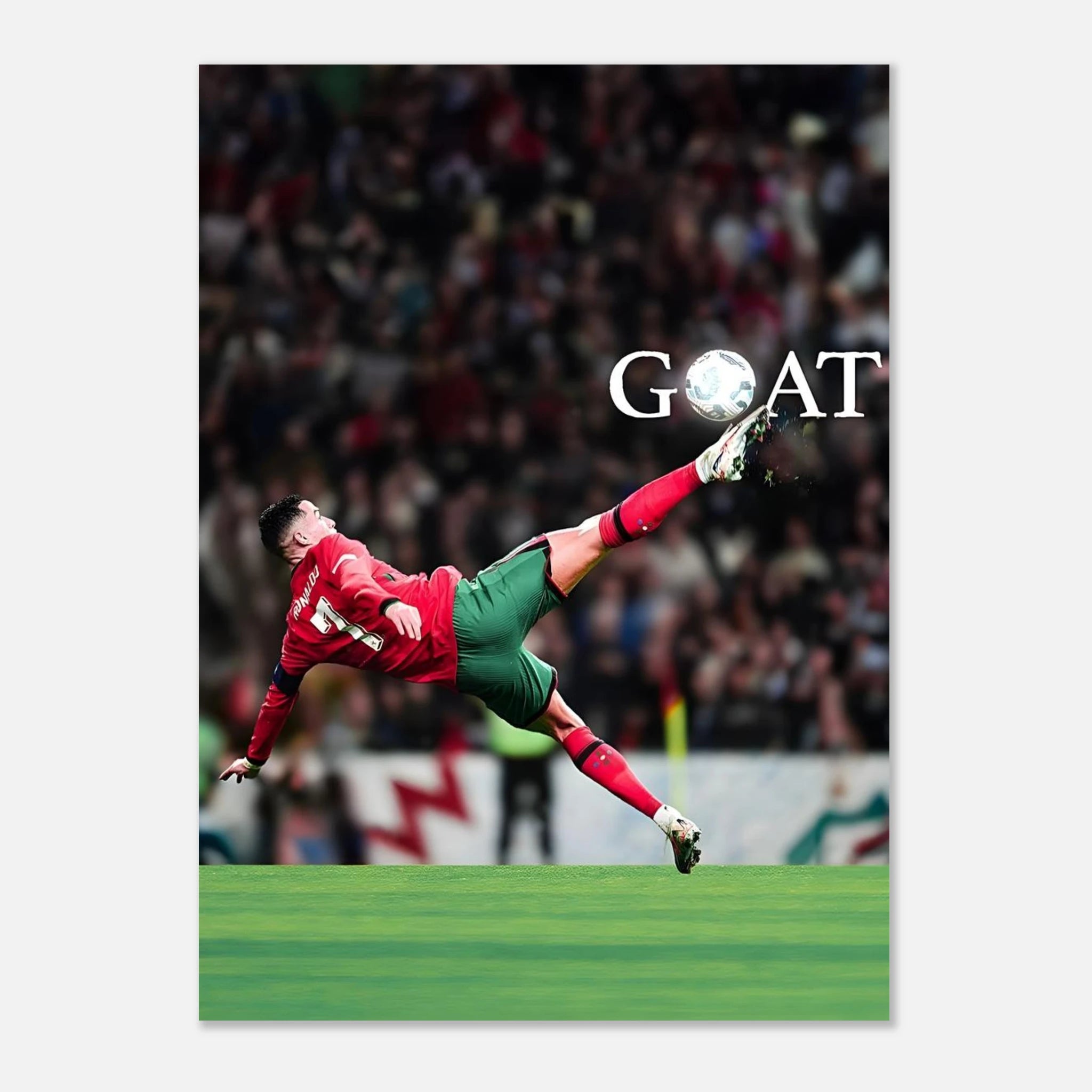 82c13836-1706-4f9f-9a13-f45d35ba58ea